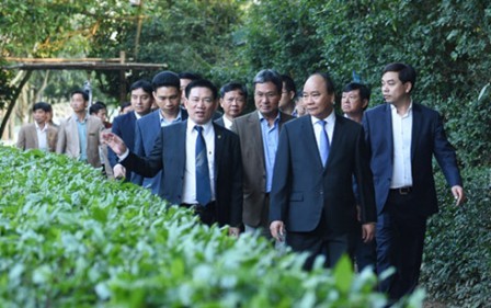 Thủ tướng Nguyễn Xuân Phúc dâng hương tưởng niệm Chủ tịch Hồ Chí Minh - ảnh 2